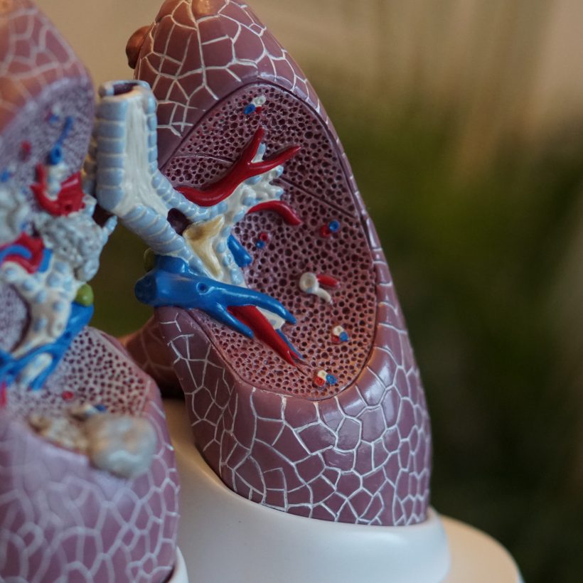 Respiratory Disease: UK Market Trends, Insights and Opportunities