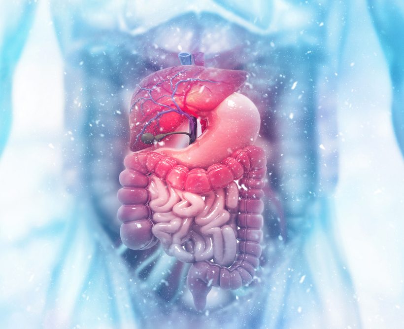 Cost-Utility Analysis for IBS Intervention: NHS Drug Tariff Application
